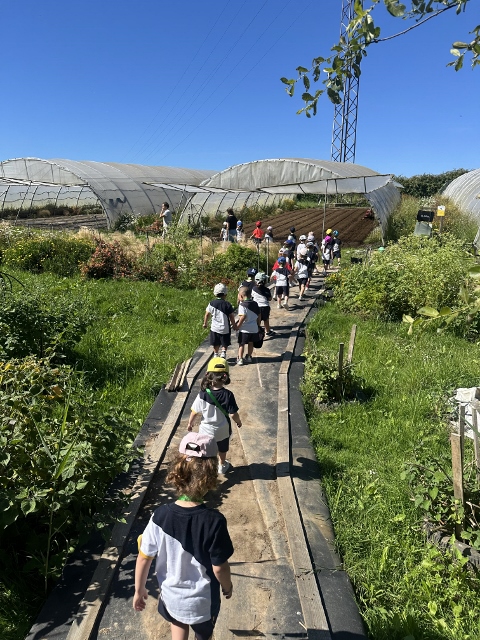 huerto-ecológico-fundación-ampros